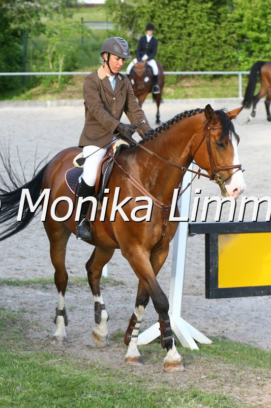 204M2096_Romeo_Stil Axx.JPG